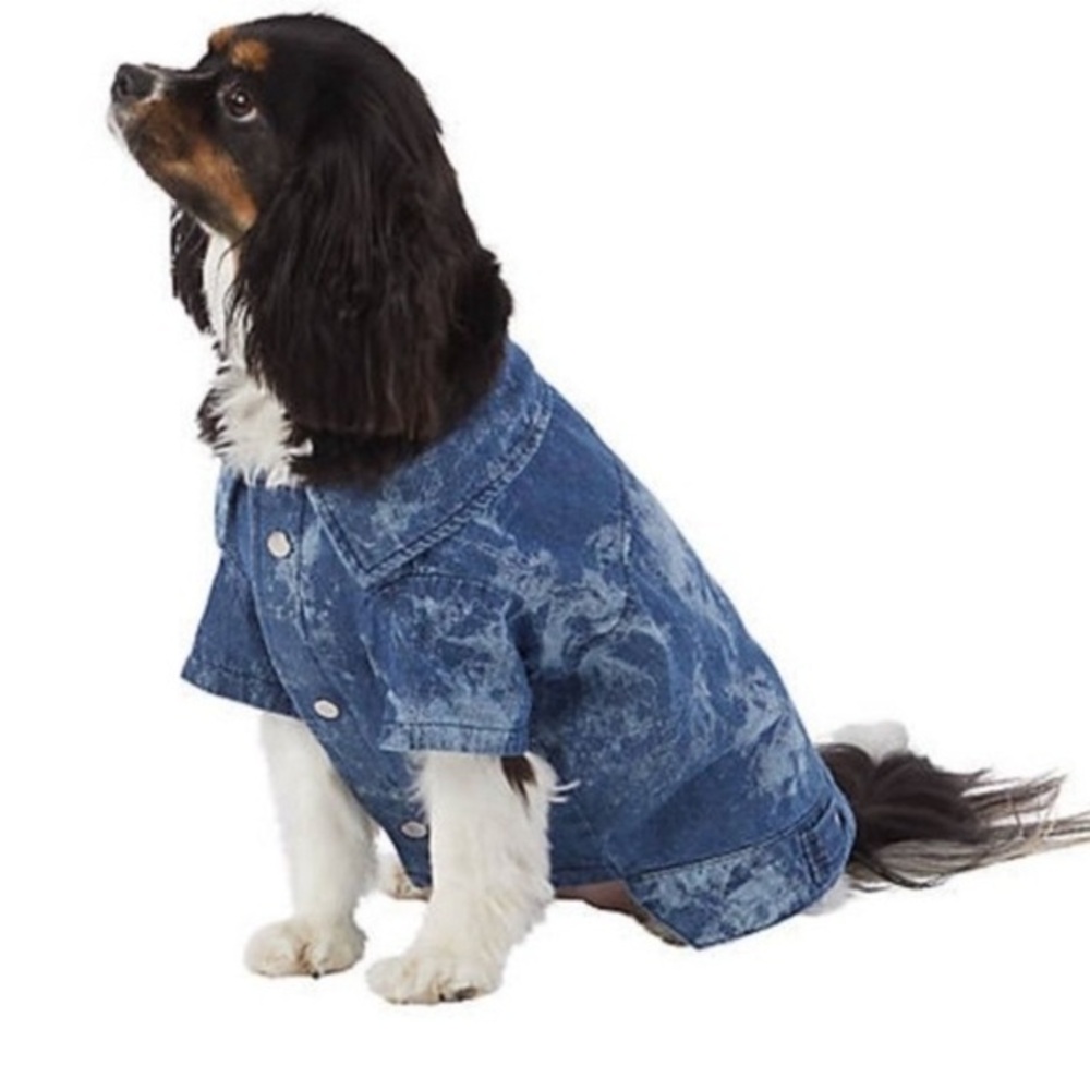 Stylish Blue Denim Dog Jacket Top Paw Brand Dog Denim Jacket Short Sleeve